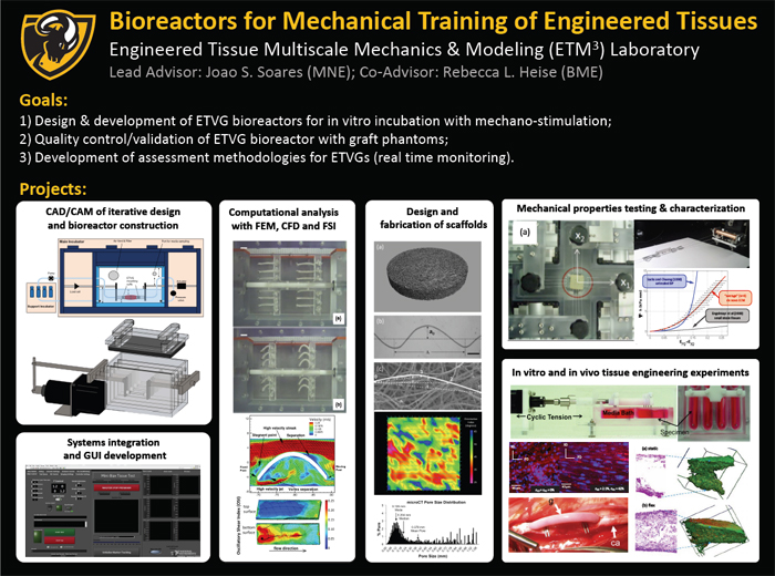 Bioreactors for Mechanical Training of Engineered Tissues